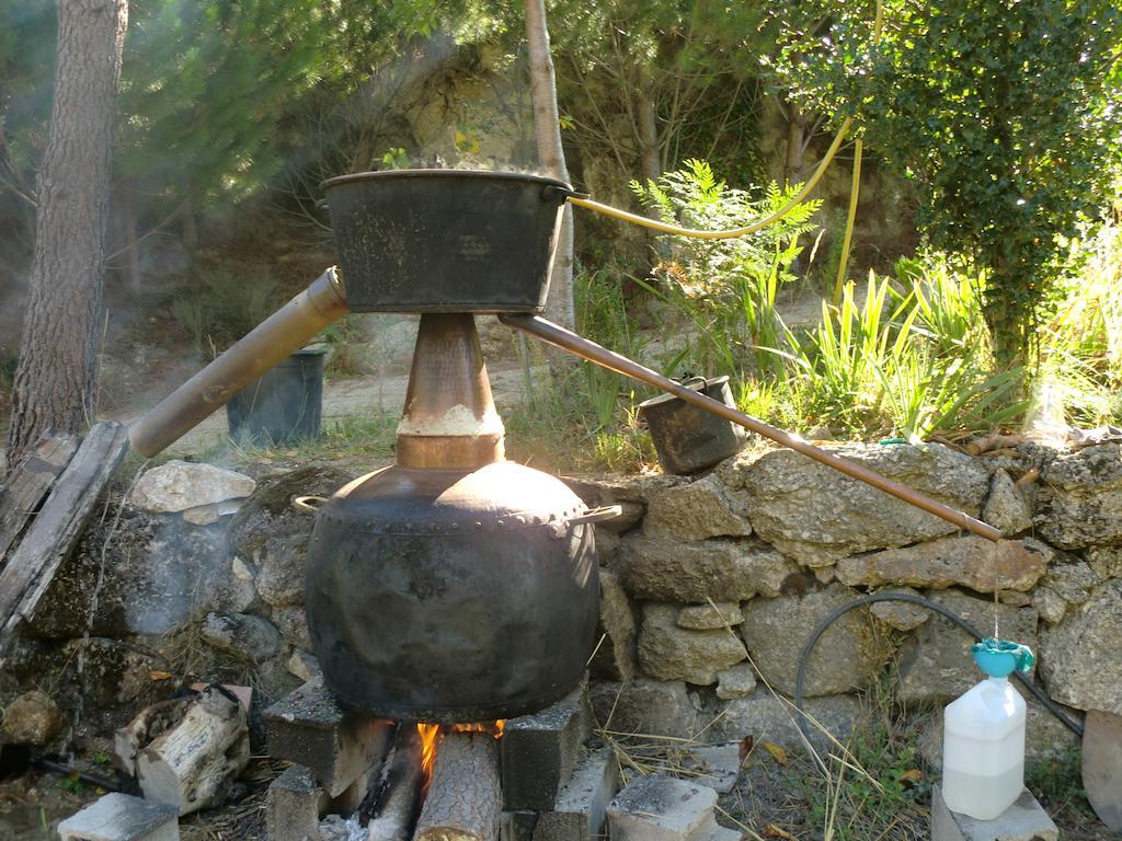 Quinta Do Circo - Serra Da Estrela - Turismo Rural Cortes do Meio Luaran gambar